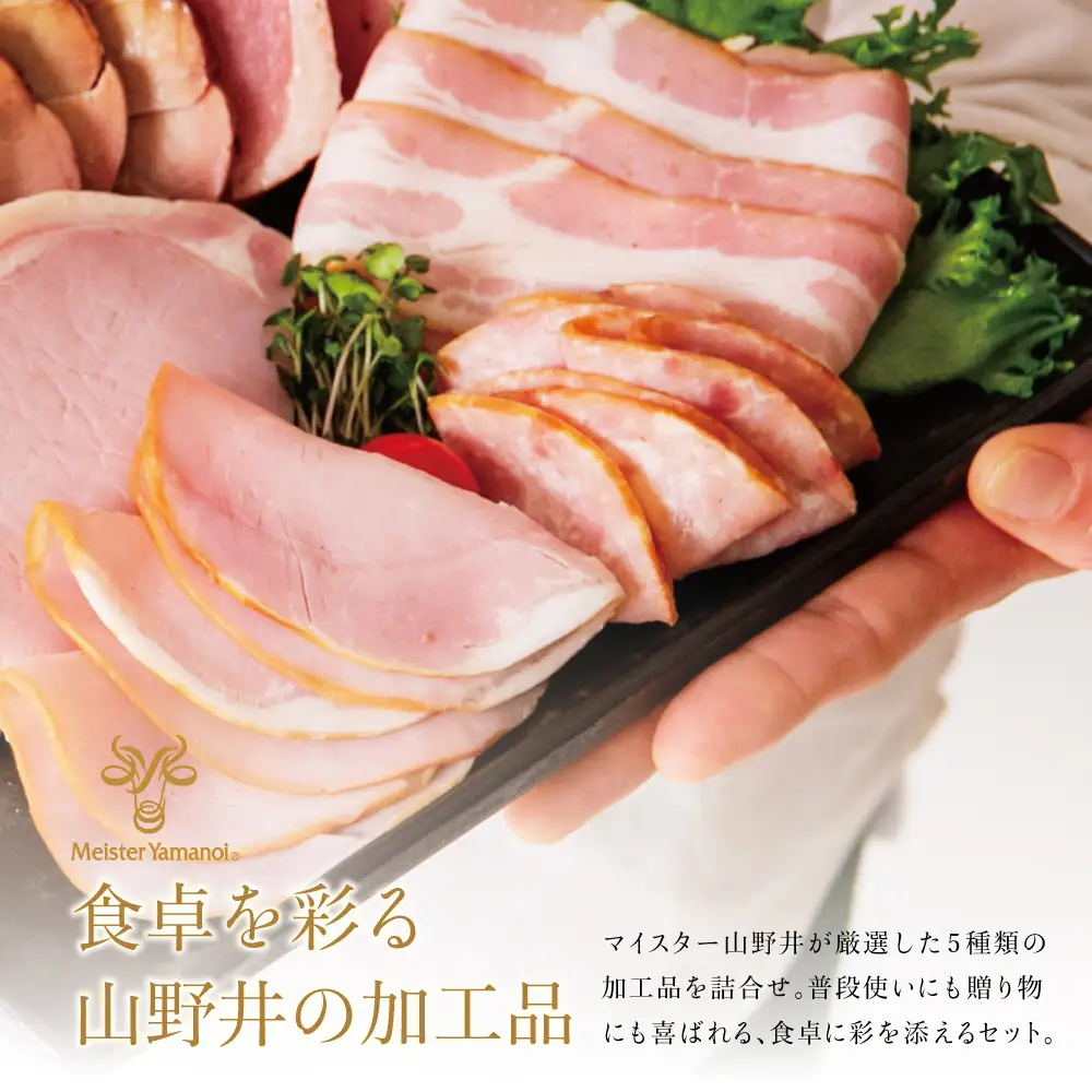 【マイスター山野井】ハム・ソーセージ 5種 詰合せ 計10P ウインナー ベーコン ハム スライス お取り寄せ 肉 豚肉 ご当地 鹿児島 グルメ ロースハム オードブル 惣菜 おかず おせち パーティー 手土産 ギフト 贈り物 贈答用 ご贈答 詰め合わせ セット 冷蔵 南さつま市