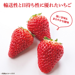 【茨城県共通返礼品/ 行方市産】【2027年1月中旬より順次発送】いちご 「やよいひめ」 約260gパック×4【イチゴ 苺 フルーツ 果物 甘い 】(CS103)