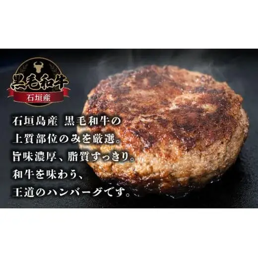 石垣島 島牛ハンバーグ 100g×10個   YC-7