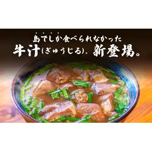 あらかわ食堂　牛汁 2パック(450g×2) 　 KB-188