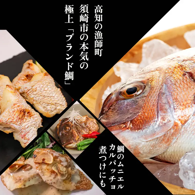 【 スピード配送 】 ブランド 真鯛 希少部位 カマ 頭 フィーレ 3点セット  高知県 須崎市 KS016-3x