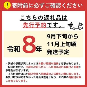 【2026年先行予約】 クイーンルージュ® 2房 【9月下旬～11月上旬にかけて順次発送予定】 