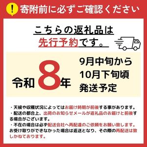 【2026年先行予約】 シャインマスカット・ナガノパープル・クイーンルージュ® 3房セット 【9月中旬～10月下旬にかけて順次発送予定】