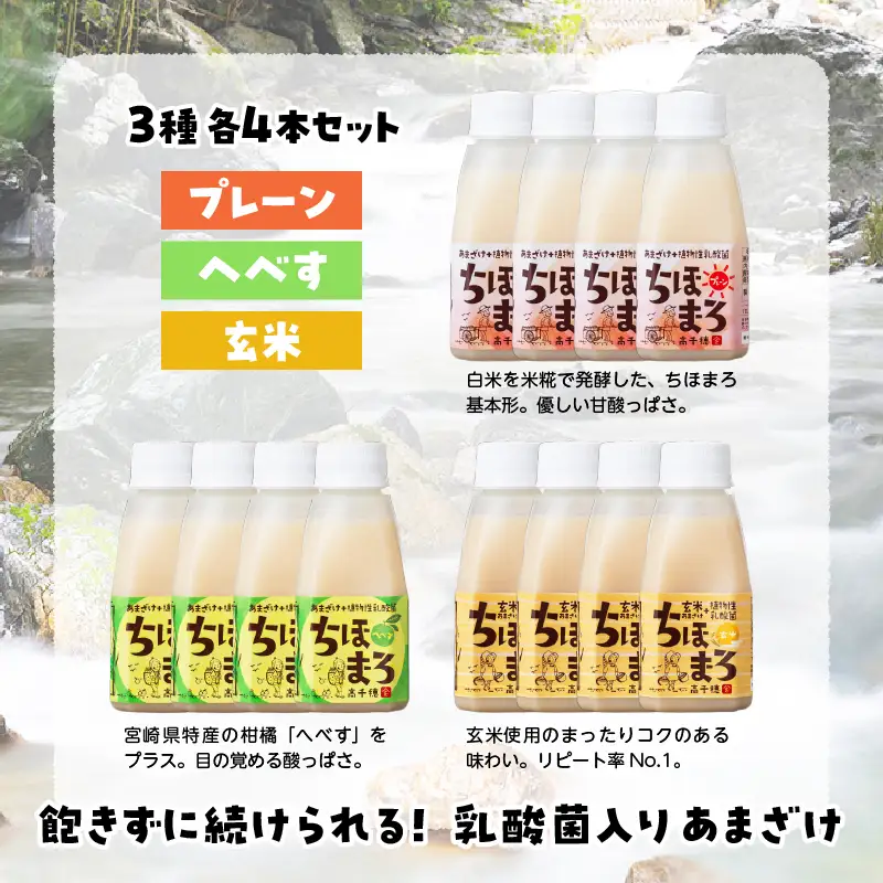 乳酸菌入りあまざけ ちほまろ 150g　12本セット【プレーン へべす 玄米】 ノンアルコール 贈答 贈り物 おすそ分け 日課 ドリンク 無添加 無加糖 飲み物 乳酸飲料 飲料 宮崎県 高千穂町 _Tk015-017-b12
