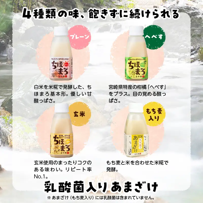 乳酸菌入りあまざけ ちほまろ 150g　12本セット【プレーン へべす 玄米 もち麦】 ノンアルコール 贈答 贈り物 おすそ分け 日課 ドリンク 無添加 無加糖 飲み物 乳酸飲料 飲料 宮崎県 高千穂町 _Tk015-017-k12
