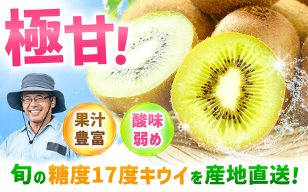 【先行予約 2026年11月上旬発送】博多甘うぃ 約1.5kg（9玉）[AFAB078] キウイ