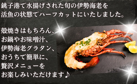 伊勢海老 ハーフカット 2枚 イセエビ エビ エビ エビ 〆印島長水産