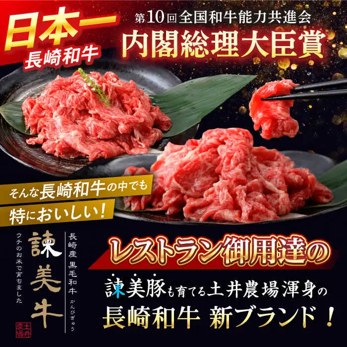【特Aのブランド米で育てた】諫美牛 切り落とし 500g(250g×2) / 牛肉 ぎゅうにく 和牛 牛 肉 国産 切り落とし 切り落し 切りおとし / 諫早市 / 株式会社土井農場 [AHAD090]