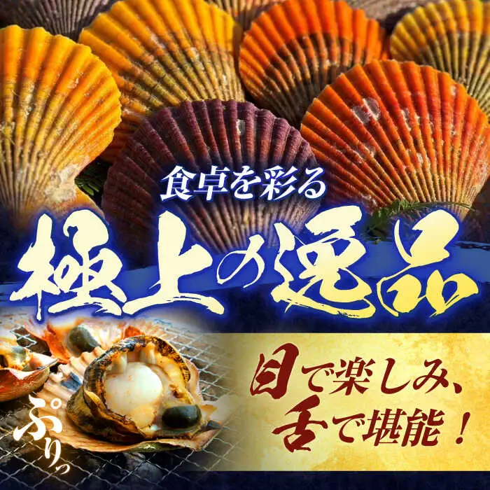 【ホタテ以上の旨味！】ヒオウギ貝 10枚(殻長7.5cm以上) / 貝 かい 魚介 ぎょかい 海鮮 かいせん 海産物 / 諫早市 / 橘湾中央漁業協同組合 [AHDP001]