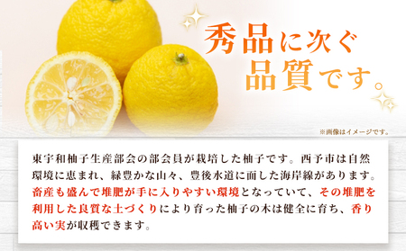 ＜柚子 優 Lサイズ 54個（18個入り×3箱）＞ 約6kg 6000g ゆず 国産 果物 フルーツ 低樹高栽培 おいしい JAひがしうわ 東宇和農業協同組合 愛媛県 西予市【常温】『2025年10月下旬～12月上旬迄に順次出荷予定』UHU0004