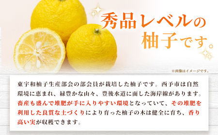 ＜柚子 秀 Lサイズ 18個＞ 約2kg 2000g ゆず 国産 果物 フルーツ 低樹高栽培 おいしい JAひがしうわ 東宇和農業協同組合 愛媛県 西予市【常温】『2025年10月下旬～11月下旬迄に順次出荷予定』UHU0005