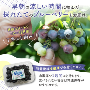 【2026年発送】 先行予約 国産 ブルーベリー 1kg フルーツ ベリー 果物 小分け  080-01