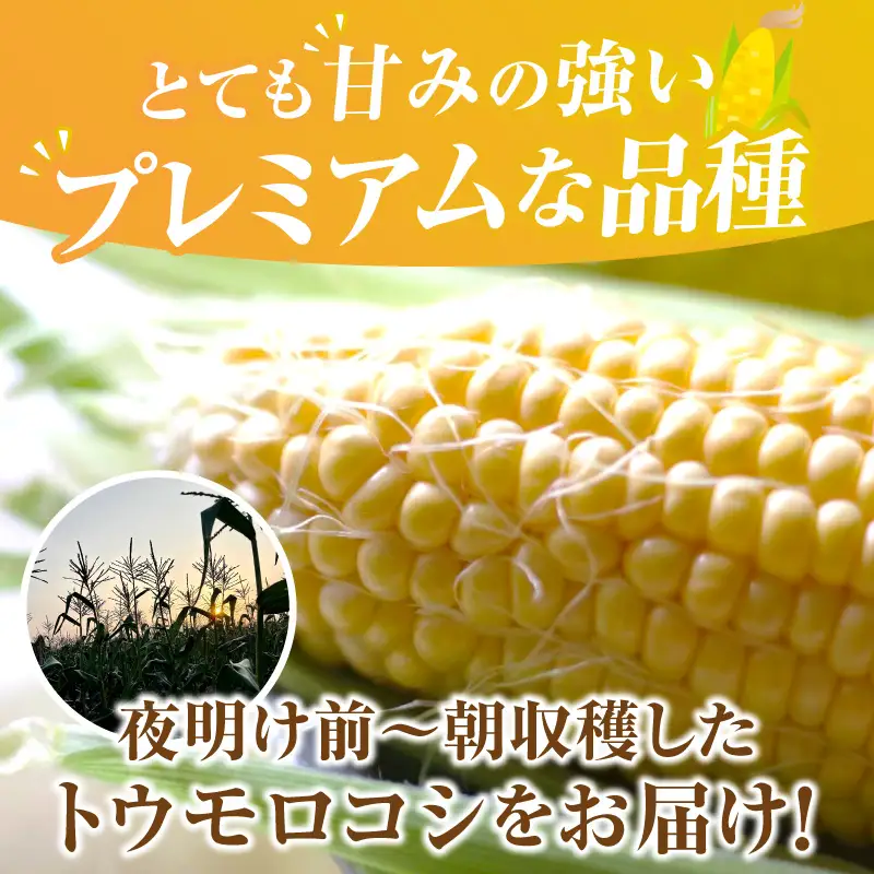《2027年6月～発送》朝採れ!プレミアム味来～金色の実り～20本・S066-200