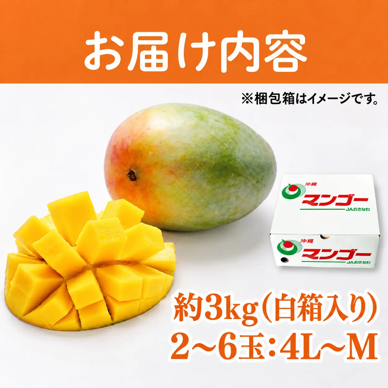 【先行受付】【2027年発送】豊見城産キーツマンゴー約3kg（白箱）訳ありご家庭用 AE018