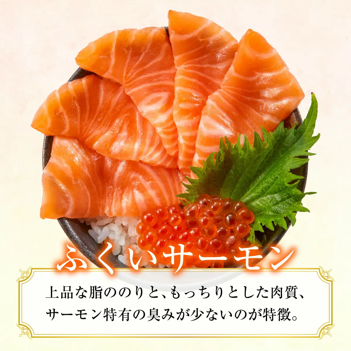 旬鮮お刺身 福井サーモン  [BFAA071] 【配送不可地域：北海道・沖縄・離島】 
