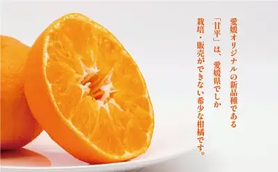 甘平 5kg かんぺい