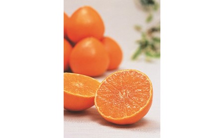 家庭用 紅まどんな 5kg 柑橘 愛媛 みかん 紅まどんな 国産 紅まどんな 果物 傷あり 紅まどんな 旬 お届け 12月 上旬 から 下旬 ブランド オレンジ 減農薬 有機 ビタミン 美味しい 有名 紅まどんな 農協 JA