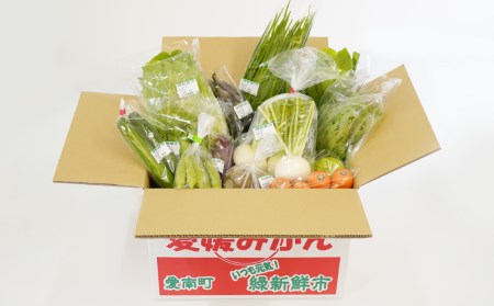 6回お届け　季節の旬野菜詰合せ