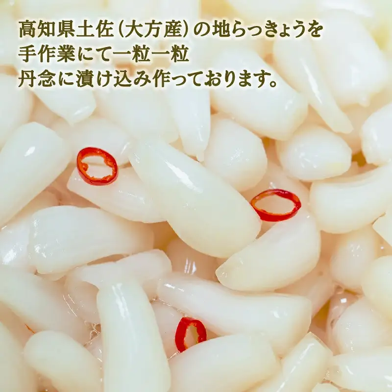 国産 らっきょ 1kg 手作り 地らっきょ 漬物 発酵食品 大方産 らっきょう 樽入り 少量生産 希少 小粒 ギフト お取り寄せ 贈り物 贈答品