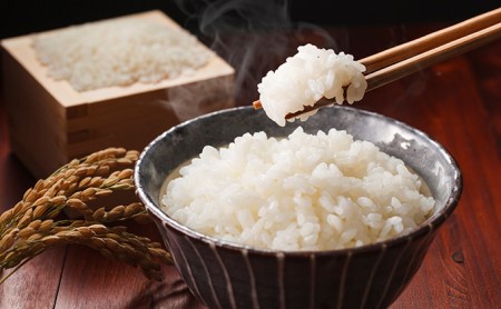 米 お米 おこめ 白米 国産 コシヒカリ 精米 5kg ゆらり内海 ブランド 炊きたて 冷めても 美味しい 旨味 甘み 愛媛 愛南 産 産地 直送 産直