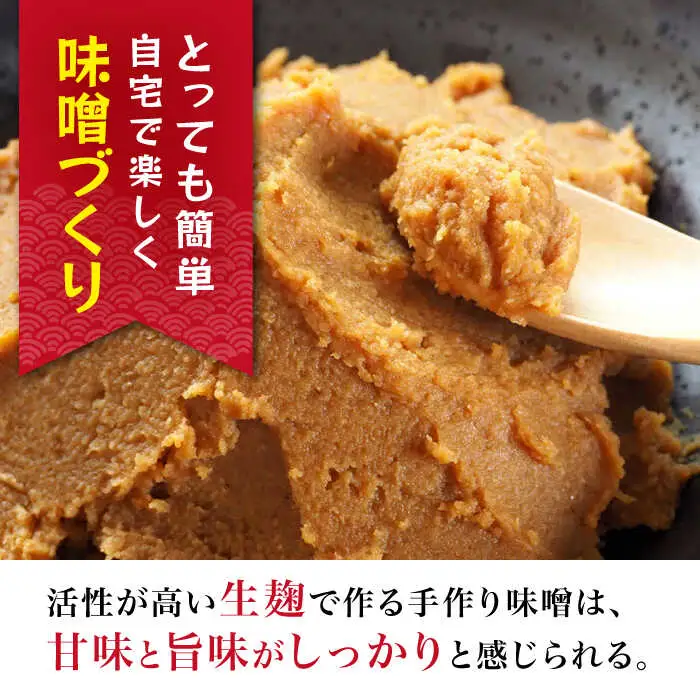 【簡単】手作り味噌セット 出来上がり5kg 作り方説明書付き【原味噌本店】[CA17]