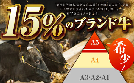 【全6回定期便】佐賀牛ロースステーキ・薄切りセット【吉祥】 HCW013 ステーキ スライス