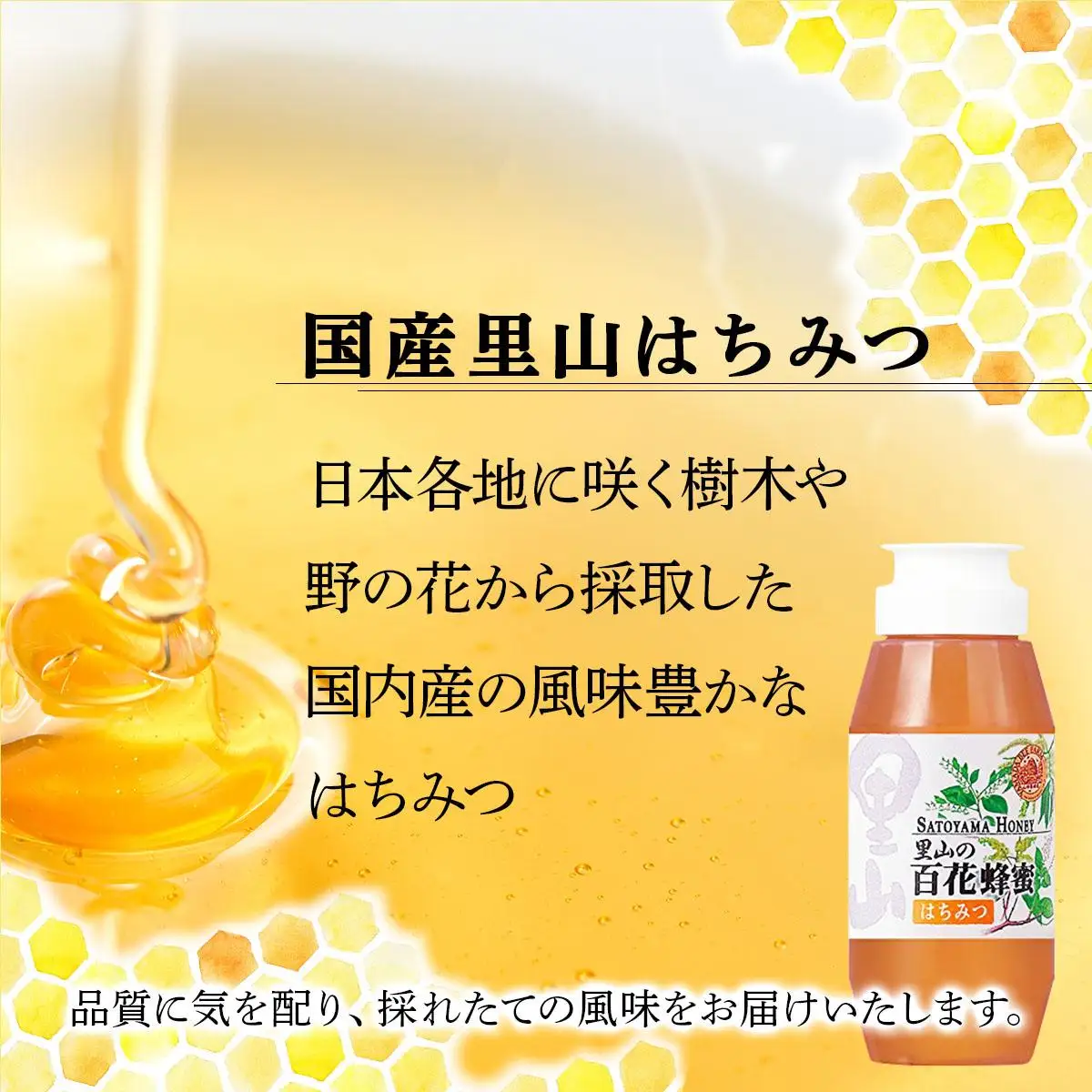 山田養蜂場　里山の百花蜂蜜300g（プラ容器入）×2本 （64231）【006-a065】【山田養蜂場】