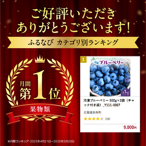 【2026年11月以降発送】冷凍ブルーベリー 500g×2袋（チャック付き袋） 北海道産ブルーベリー 余市産ブルーベリー  ブルーベリー 1kg フルーツ 冷凍フルーツ 果物__Y111-0007