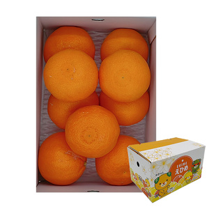 【秀品】 松山市中島産 せとかＭ～3Ｌサイズ　2.5kg【FA0941】