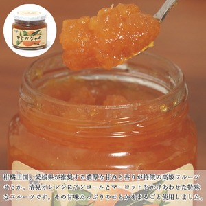 訳あり 愛媛県産フルーツジャム（せとか・伊予柑）2種食べ比べセット（270g×6瓶） みきゃんの列車箱入り フルーツ ジャム マーマレード 愛媛果汁食品 愛媛 新居浜