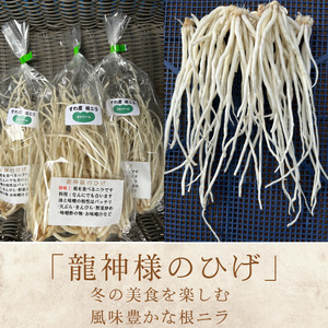 先行予約[2026年12月発送] 根ニラ 龍神様のひげ 1,500g(100g×15袋) すわファーム 野菜 [91-02]