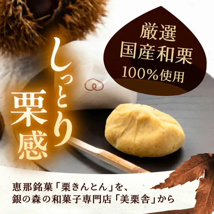 【スピード配送】【季節限定】美栗舎の栗きんとん 10個入り / 恵那市 / 銀の森 [AUBG027]