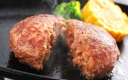 熊本名物セット② 馬刺し(赤身)100g×2 辛子れんこん300g 熊本和牛あか牛ハンバーグ150g×5 セット