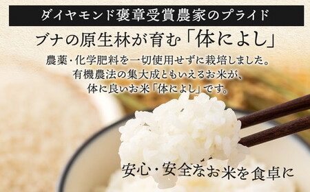 【令和７年度産】野沢温泉村産 JAS有機こしひかり 体によし 20kg（無洗米）｜K-k20   無農薬 JAS こめ 白米 ごはん 長野県 信州