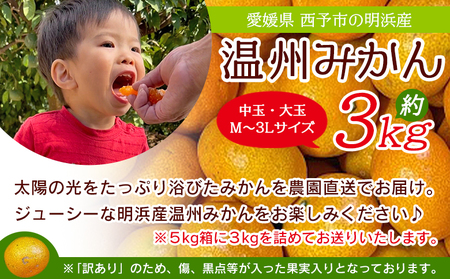 ＜訳あり 温州みかん 約3kg＞ 中玉 大玉 明浜産 果物 フルーツ 蜜柑 うんしゅうみかん ウンシュウミカン 柑橘 家庭用 浜のみかん屋 直送 愛媛県 西予市【常温】『2025年11月上旬～2026年2月上旬迄に順次出荷』AHM0020