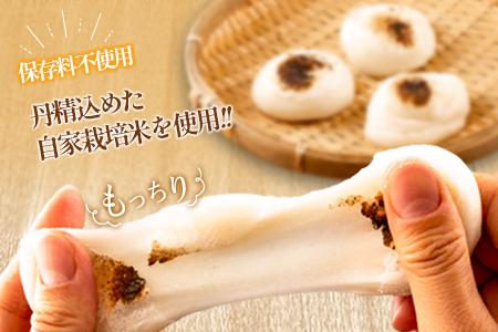 餅 おもち 20個 生餅＆よもぎ生餅セット へんぽこ茶屋 つきたて冷凍_HE057_004