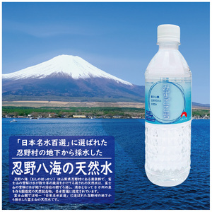 富士山麓　名水百選の天然水（みずごこち）500ml×24本