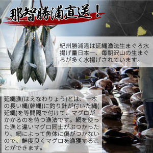那智勝浦直送！天然生まぐろ 柵 約500g 【入金確認後、3週間以内に発送いたします】【UT101】【Z91156-uot806】