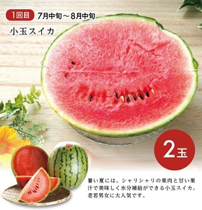 SE0487　【3回定期便】庄内の美味しい果物お届け便2026 (小玉すいか、刈屋梨、庄内柿)