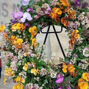 【 先行予約 ：2026年11月発送 】 花 パンジー ビオラ リース 寄せ植え オンライン決済限定 花