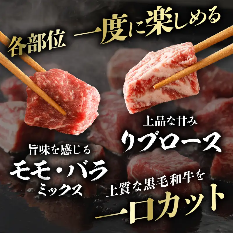 ≪訳あり≫宮崎県産黒毛和牛(経産牛)3種サイコロステーキ(合計1kg) 肉 牛 牛肉 国産_T025-0175