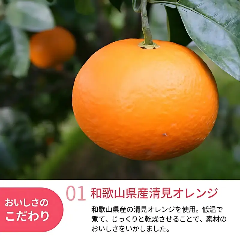 和歌山県産 ドライフルーツ  清見オレンジ  20g×2袋 / 清見オレンジ オレンジ おやつ 小腹 お菓子 健康【kng017-1】