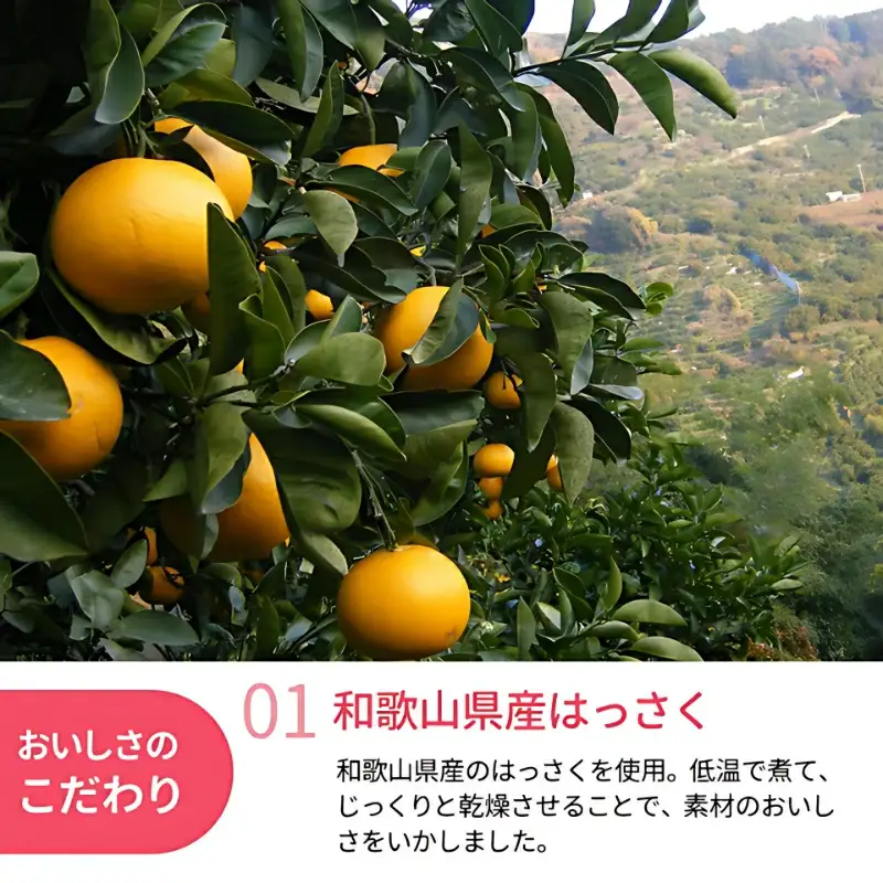 和歌山県産 ドライフルーツ  はっさく  20g×2袋 / 八朔 柑橘 おやつ 小腹 お菓子 健康 和歌山 和歌山県【kng019-1】