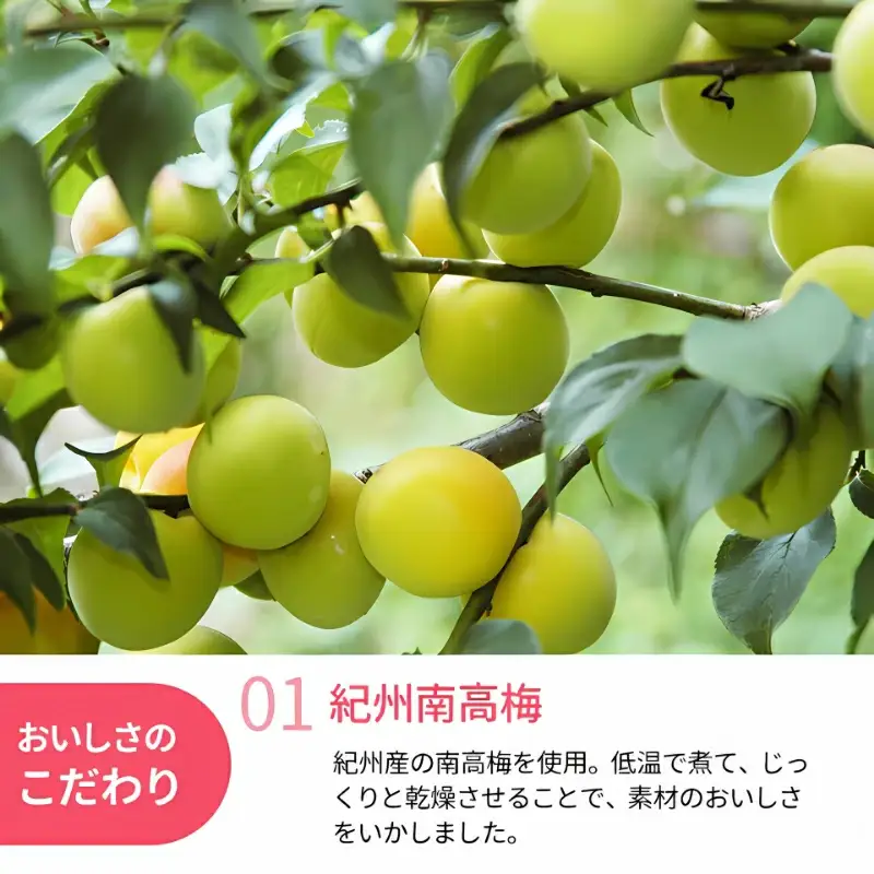 和歌山県産 ドライフルーツ  紀州南高梅  20g×2袋 / 南高梅 梅 うめ ウメ おやつ 小腹 お菓子 健康【kng021-1】