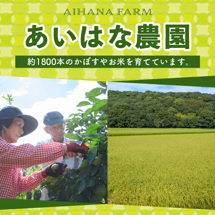 ＜令和7年産＞ひのひかり 玄米 (計10kg・5kg×2P) お米 ごはん ご飯【107101403】【あいはな農園】