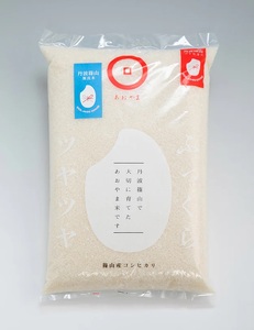 令和8年産新米　あおやま米コシヒカリ5kg・あおやま米コシヒカリ無洗米5kg・黒豆しぼりセット 