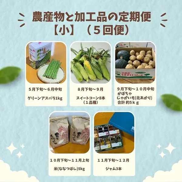 【先行予約】野菜 定期便 加工品【小】 5回便 【令和9年産】 野菜 セット 詰め合わせ