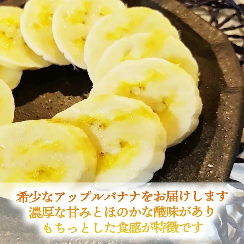 【希少栽培種】あかみね熱帯フルーツのアップルバナナ約3kg - 国産 希少種 フレッシュ 小ぶり 食べやすい おすすめ 沖縄県 八重瀬町