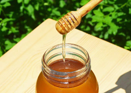 天然生ハチミツ 篠山蜂蜜 百花蜜 500g  BEE001