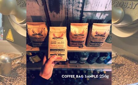 ロースターズセレクト 250g×2種類のおすすめスペシャルティコーヒー ドリンク コーヒー スペシャルティコーヒー 豆